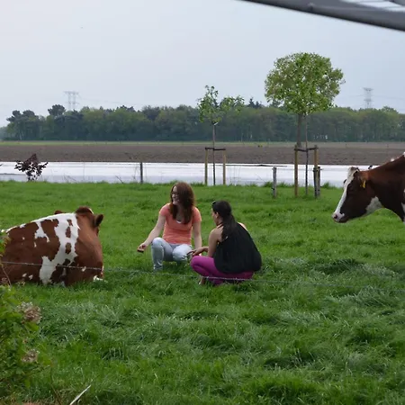Erfgoed & Logies Den Heijkant Oda ve Kahvaltı