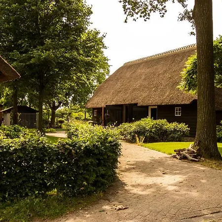 Oda ve Kahvaltı Erfgoed & Logies Den Heijkant 4*