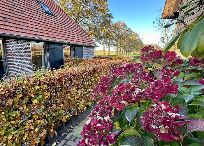 Bed and breakfast Erfgoed & Logies Den Heijkant Moergestel